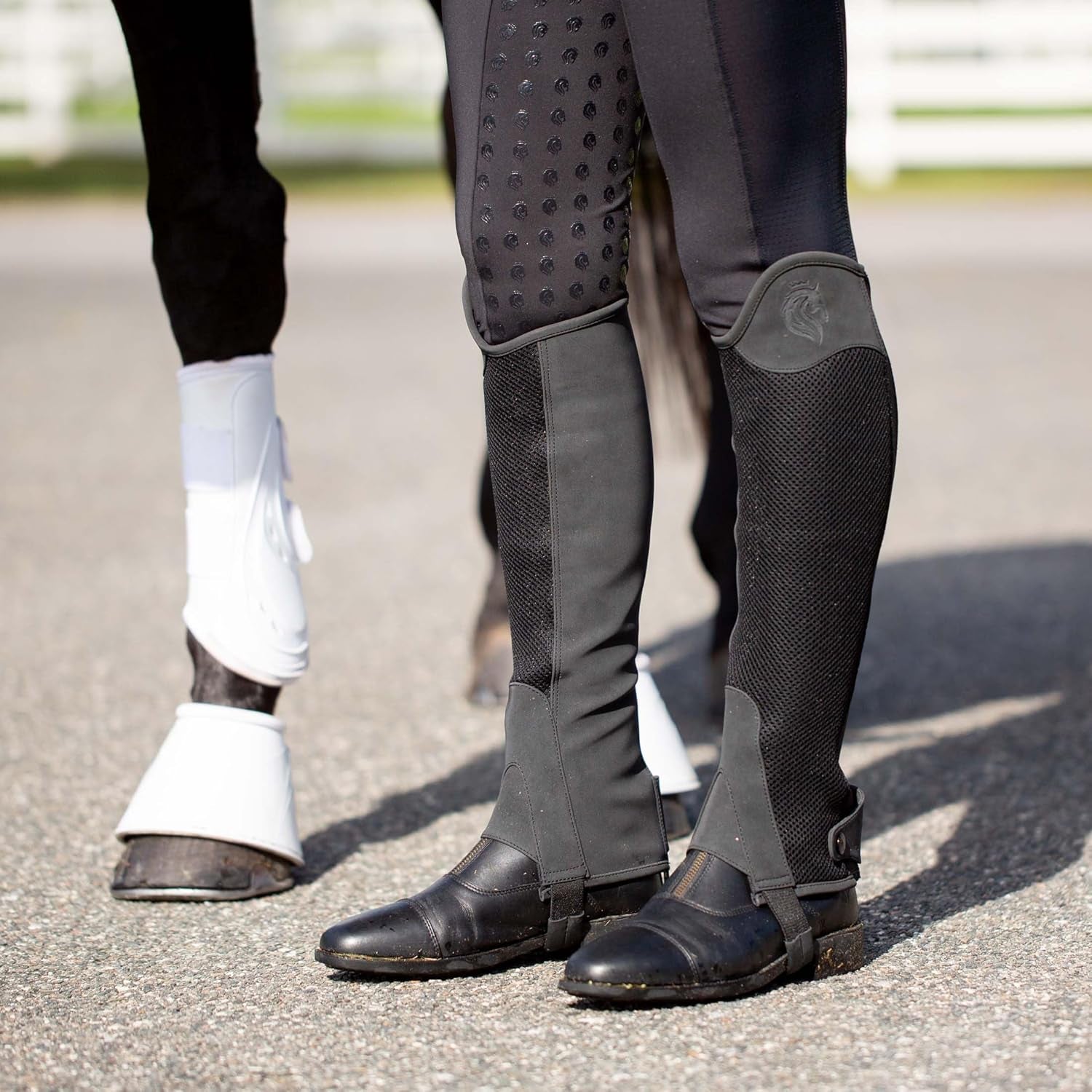 Freya Womens Nordicair™ Tech Equestrian Half Chaps for Horseback Riding | Breathable Mesh